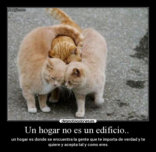 Un hogar no es un edificio.. -