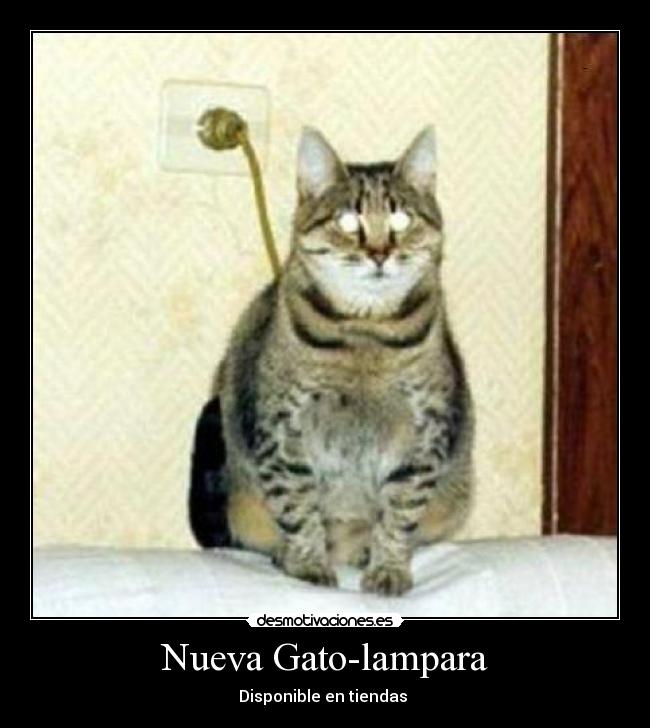 Nueva Gato-lampara - Disponible en tiendas 