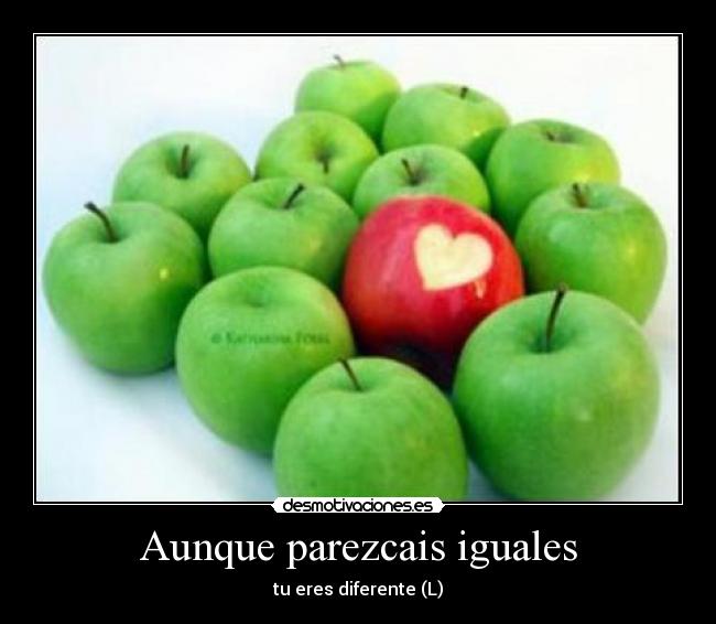 Aunque parezcais iguales - tu eres diferente (L)