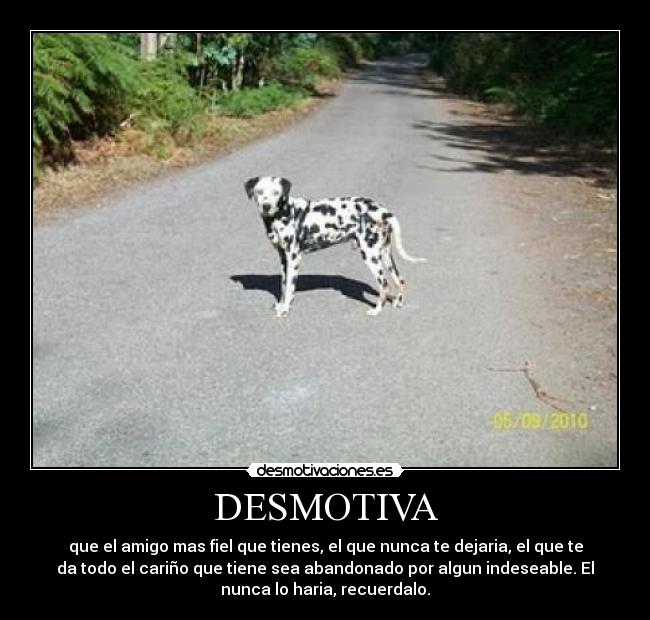 DESMOTIVA - que el amigo mas fiel que tienes, el que nunca te dejaria, el que te
da todo el cariño que tiene sea abandonado por algun indeseable. El
nunca lo haria, recuerdalo.