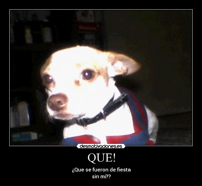 QUE! -