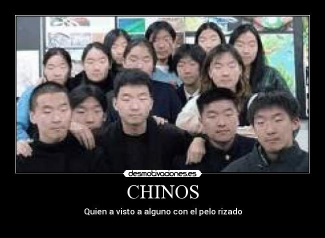 CHINOS - Quien a visto a alguno con el pelo rizado
