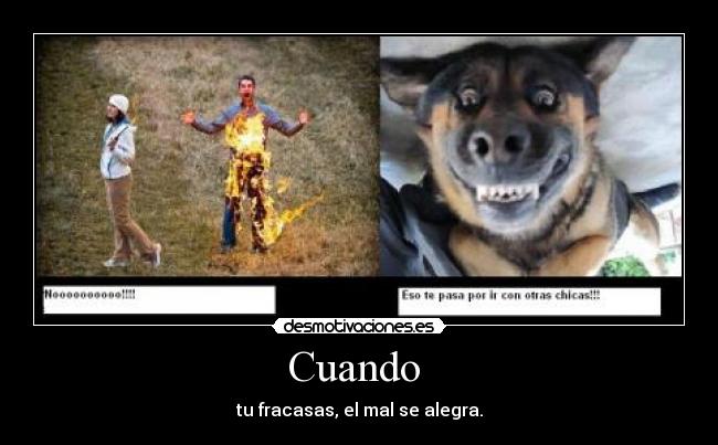 Cuando  - tu fracasas, el mal se alegra.