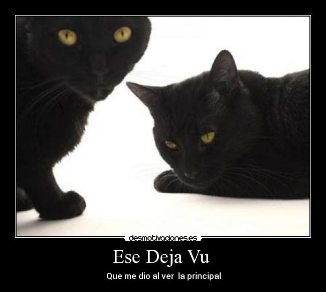 Ese Deja Vu  - Que me dio al ver  la principal