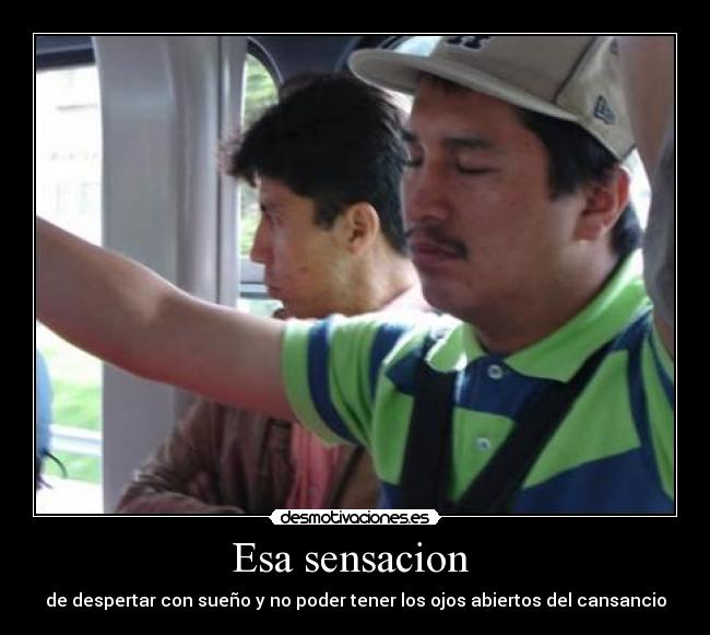 carteles sensacion desmotivaciones