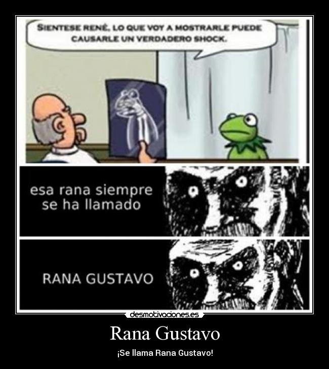 Rana Gustavo -
