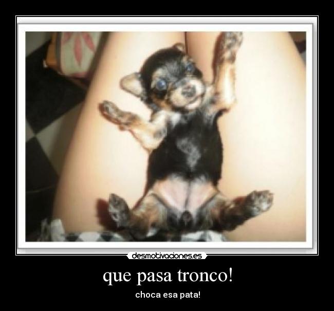 que pasa tronco! - choca esa pata!