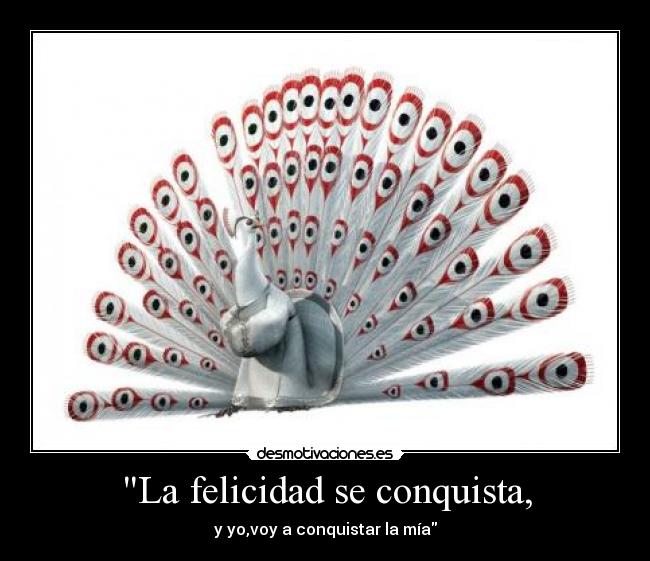La felicidad se conquista, - y yo,voy a conquistar la mía