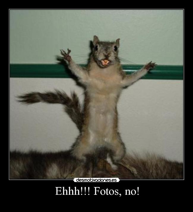 Ehhh!!! Fotos, no! -