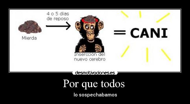 Por que todos -