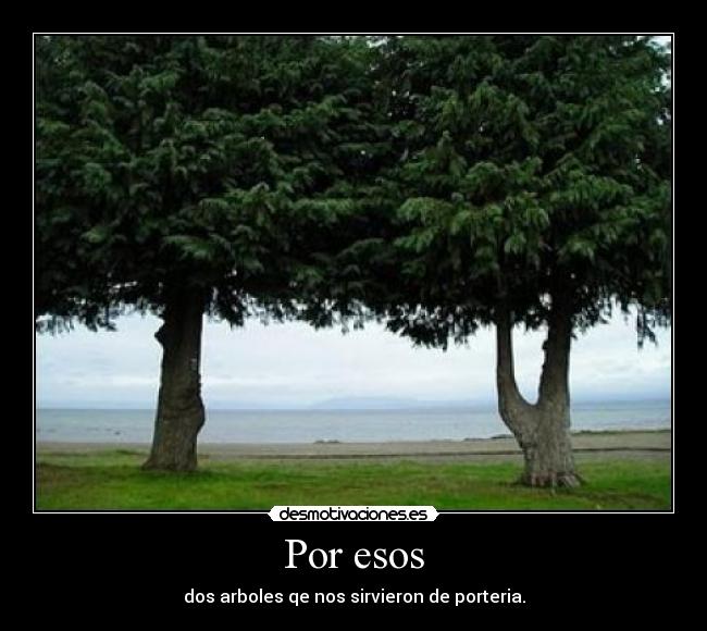 Por esos - dos arboles qe nos sirvieron de porteria.