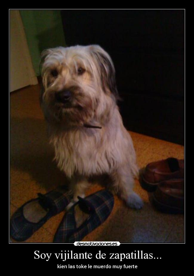 Soy vijilante de zapatillas... - kien las toke le muerdo muy fuerte