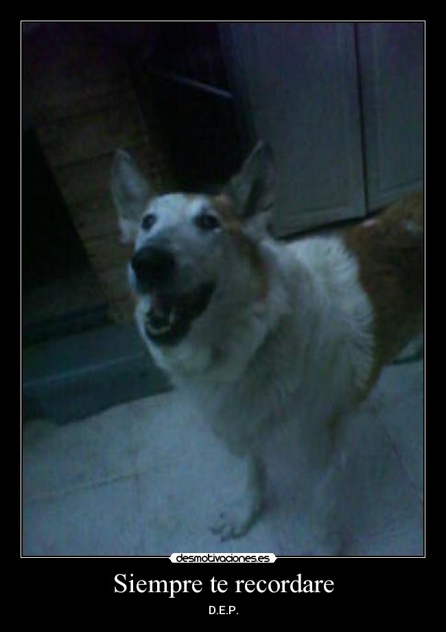 Siempre te recordare - 