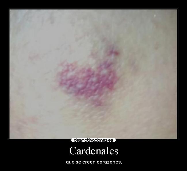 Cardenales - que se creen corazones.