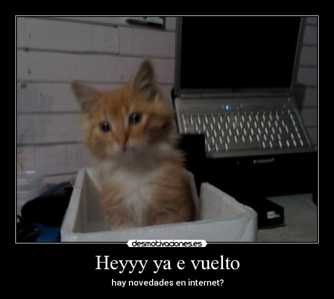 Heyyy ya e vuelto - 