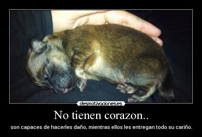 No tienen corazon.. - 