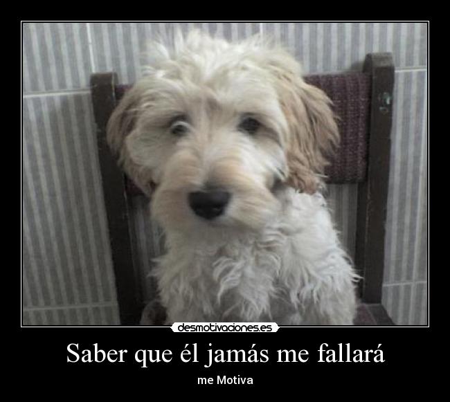 Saber que él jamás me fallará - me Motiva