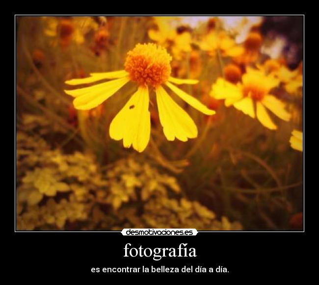 fotografía -