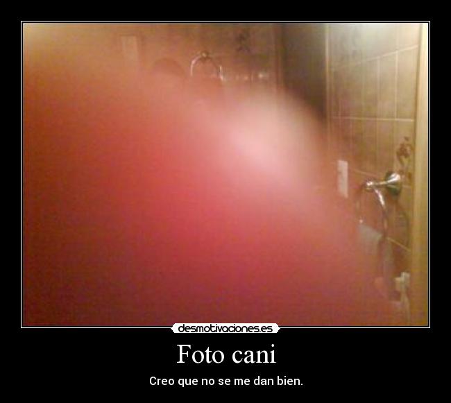 Foto cani - 