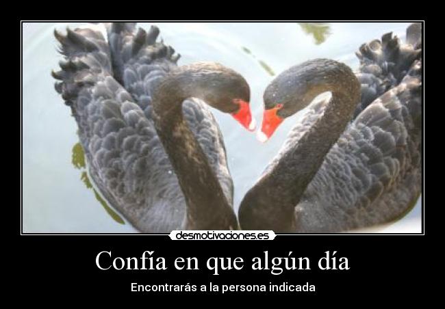 Confía en que algún día -