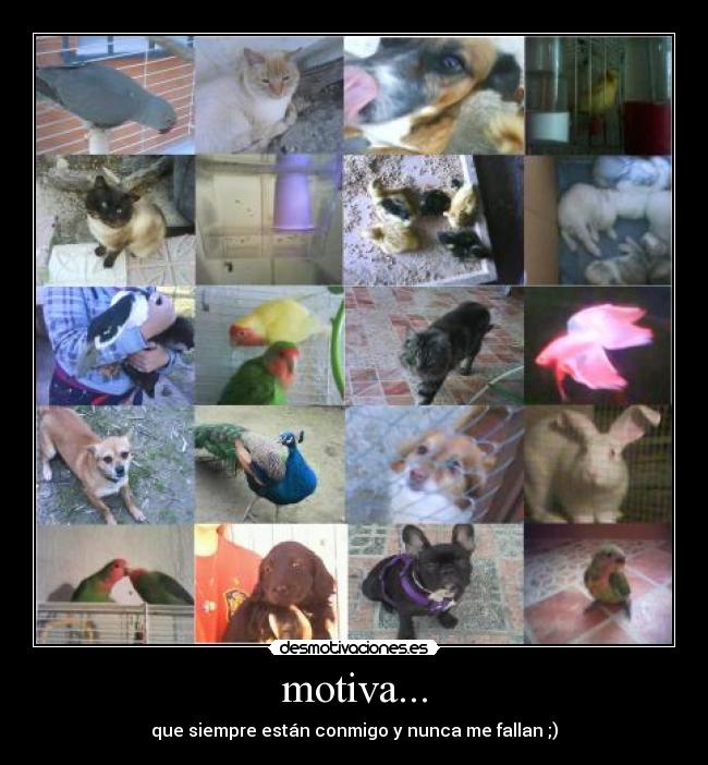 motiva... - que siempre están conmigo y nunca me fallan ;)