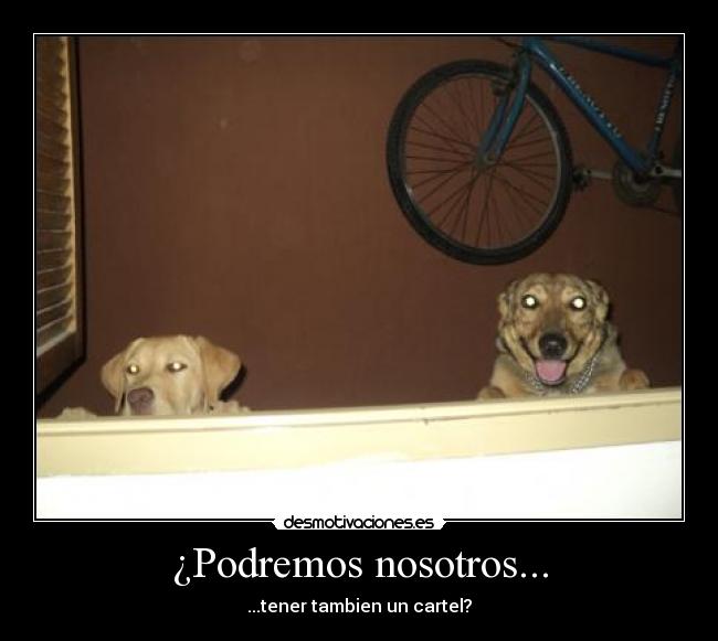 ¿Podremos nosotros... - 