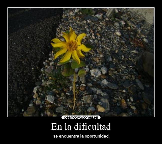 En la dificultad - se encuentra la oportunidad.