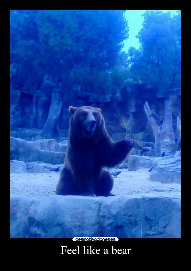 Feel like a bear - 