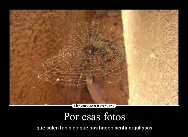 Por esas fotos - que salen tan bien que nos hacen sentir orgullosos