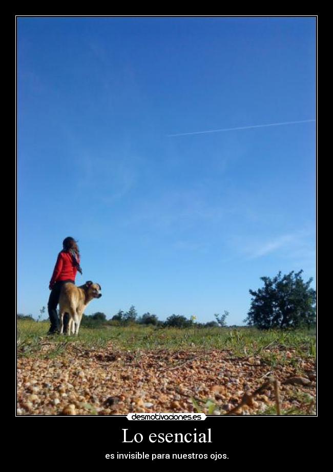 Lo esencial - es invisible para nuestros ojos.