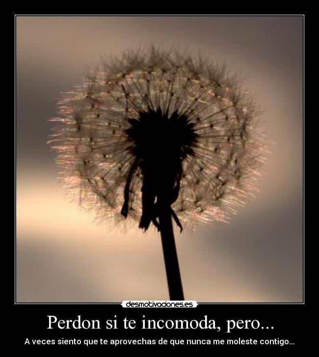 Perdon si te incomoda, pero... -