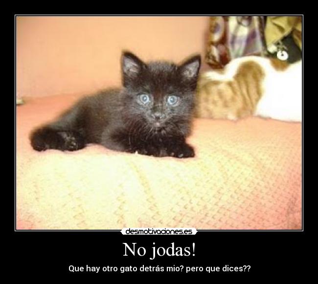 No jodas! -