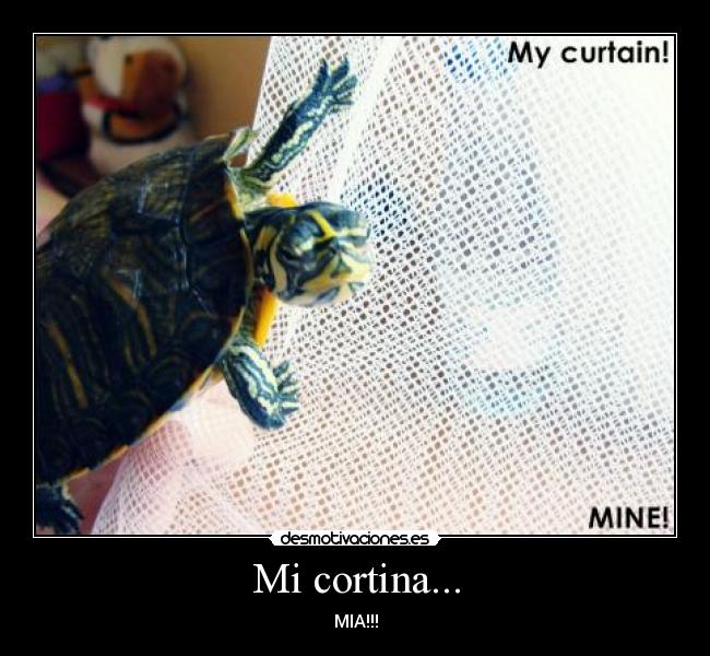 Mi cortina... -