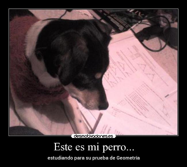 Este es mi perro... -