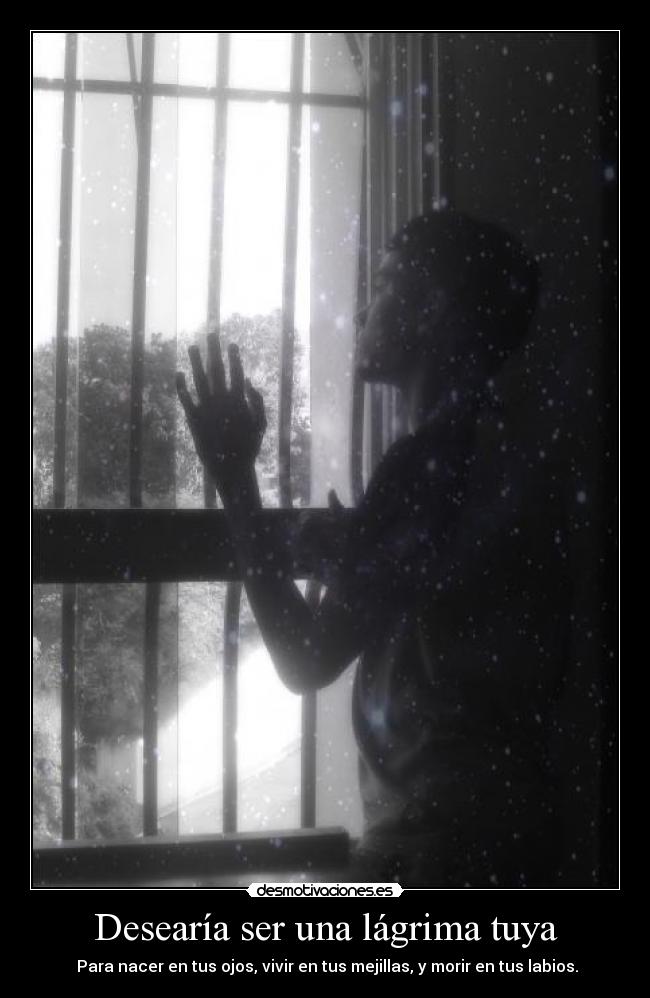 Desearía ser una lágrima tuya - 