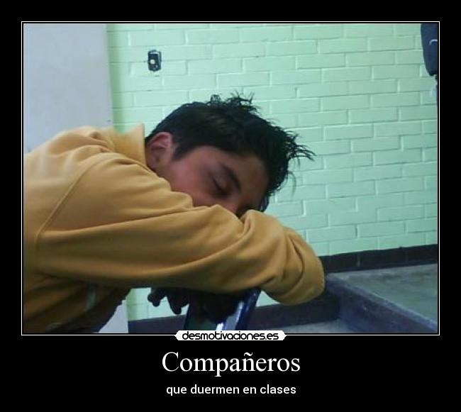 Compañeros - 