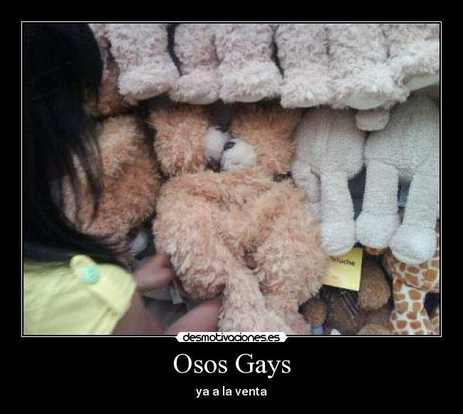 Osos Gays - 