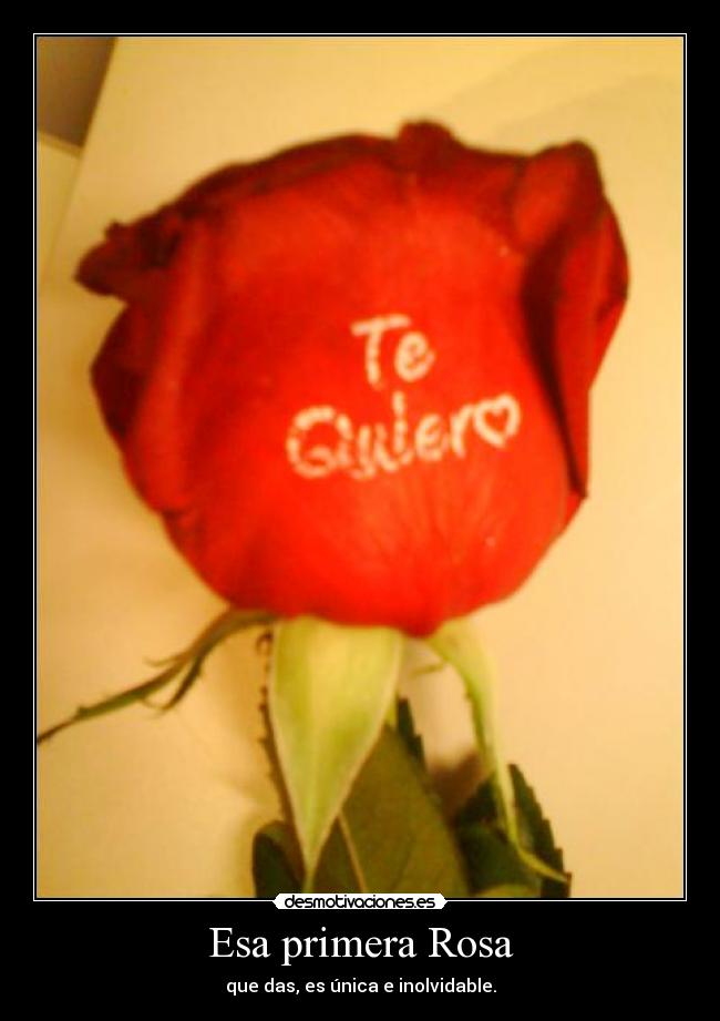 Esa primera Rosa - 