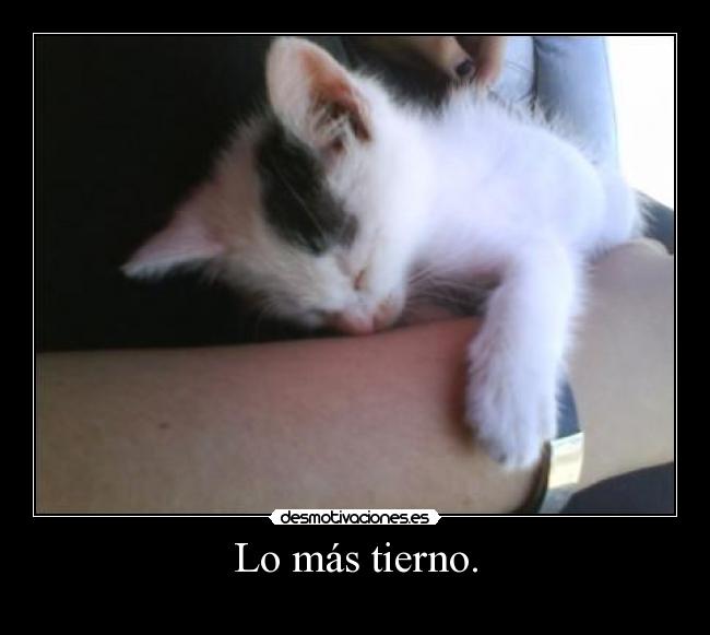 Lo más tierno. - 