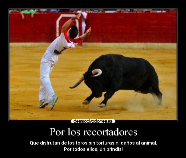 Por los recortadores - Que disfrutan de los toros sin torturas ni daños al animal.
Por todos ellos, un brindis!