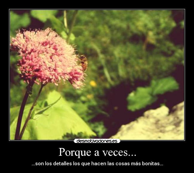 Porque a veces... - ...son los detalles los que hacen las cosas más bonitas...