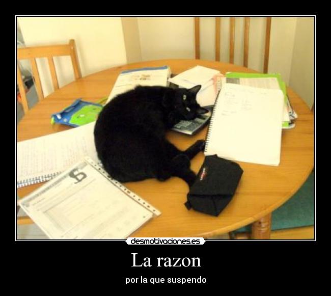 La razon - por la que suspendo