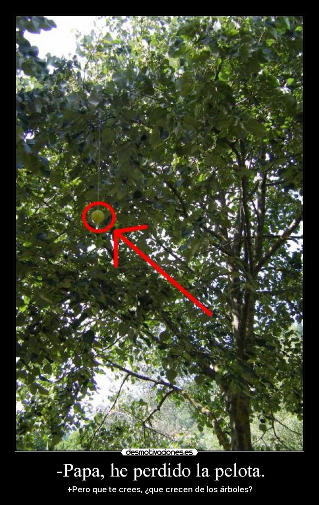 -Papa, he perdido la pelota. - +Pero que te crees, ¿que crecen de los árboles?