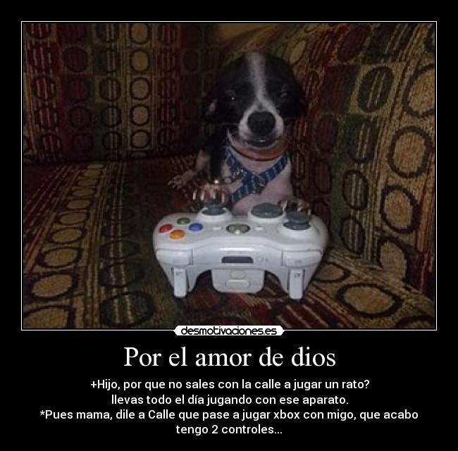 Por el amor de dios - 