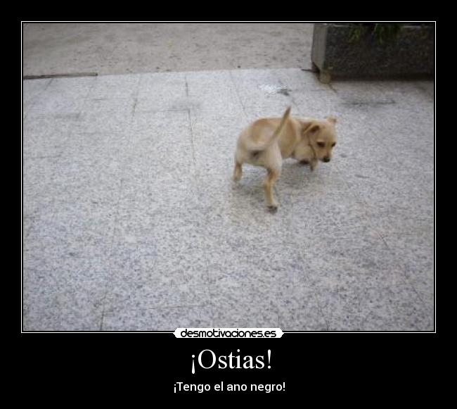 ¡Ostias! - ¡Tengo el ano negro!