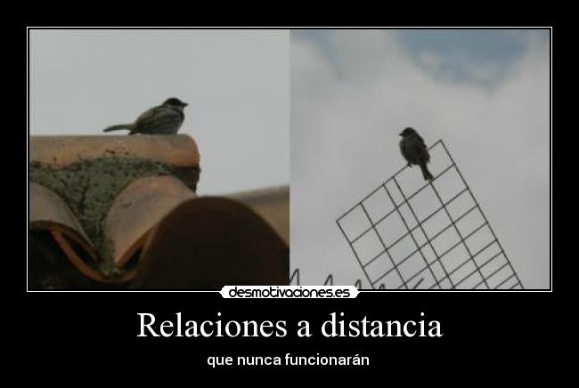 carteles distancia pajaros relaciones distancia funcionar desmotivaciones