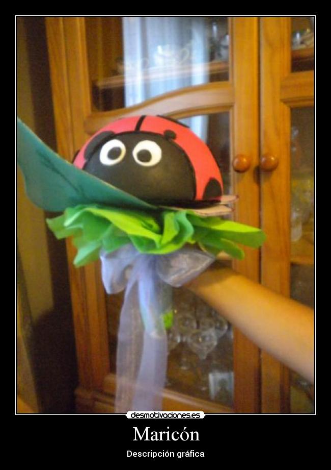 Maricón - Descripción gráfica