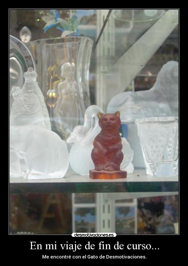 En mi viaje de fin de curso... - Me encontré con el Gato de Desmotivaciones.