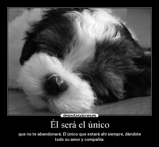 Él será el único - que no te abandonará. Él único que estará ahí siempre, dándote
todo su amor y compañía.