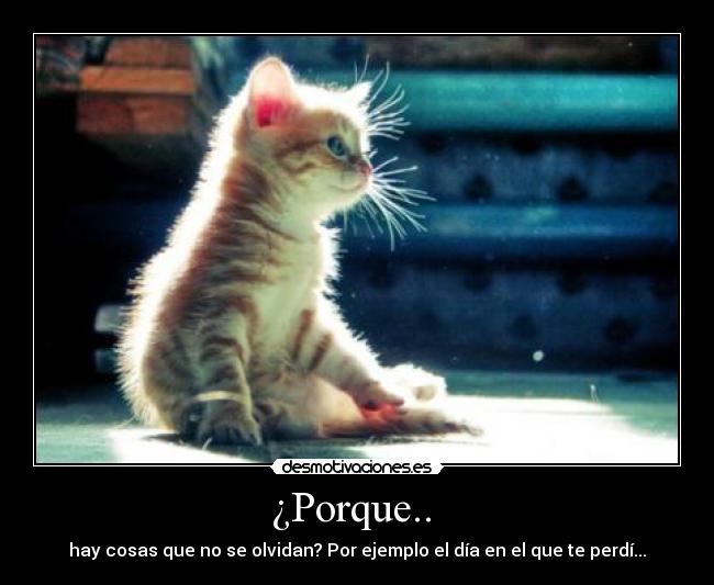 ¿Porque..  - 